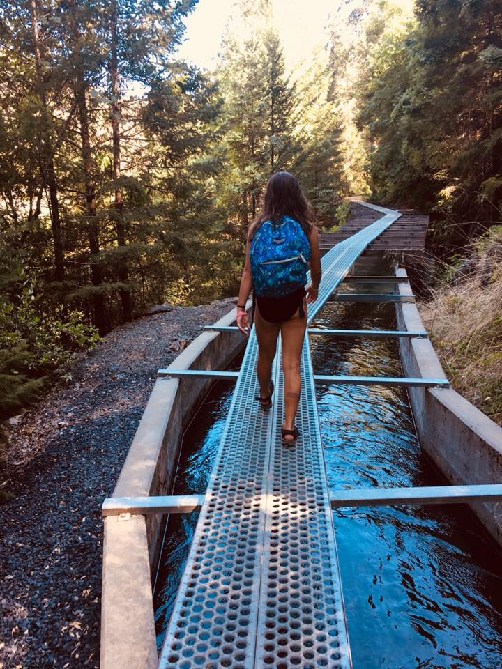 36892184_10214591528695119_1264669106175475712_n